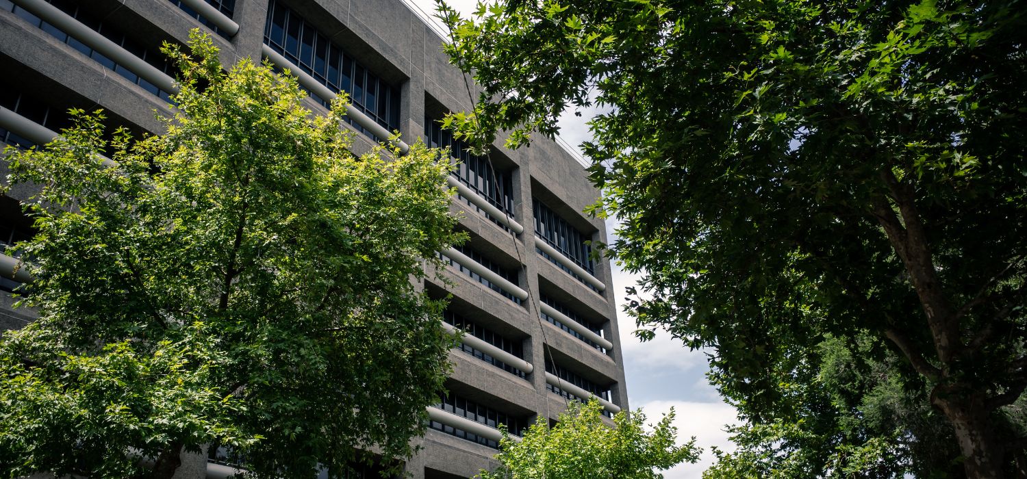Commercial tree service in Olympia, WA maintaining healthy trees around a large office building to enhance safety and curb appeal.