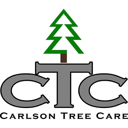 Top Tree Care Services in Shelton, WA | Carlson Tree Care, LLC