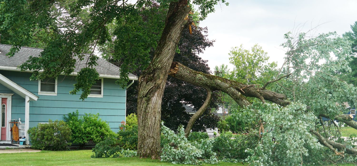 Storm-damaged tree with a large broken limb hanging and fallen branches scattered across the yard beside a residential home.