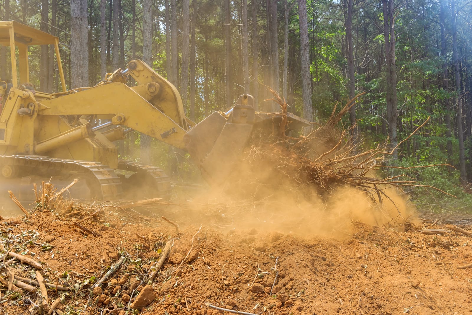 Land Clearing in Tahuya WA