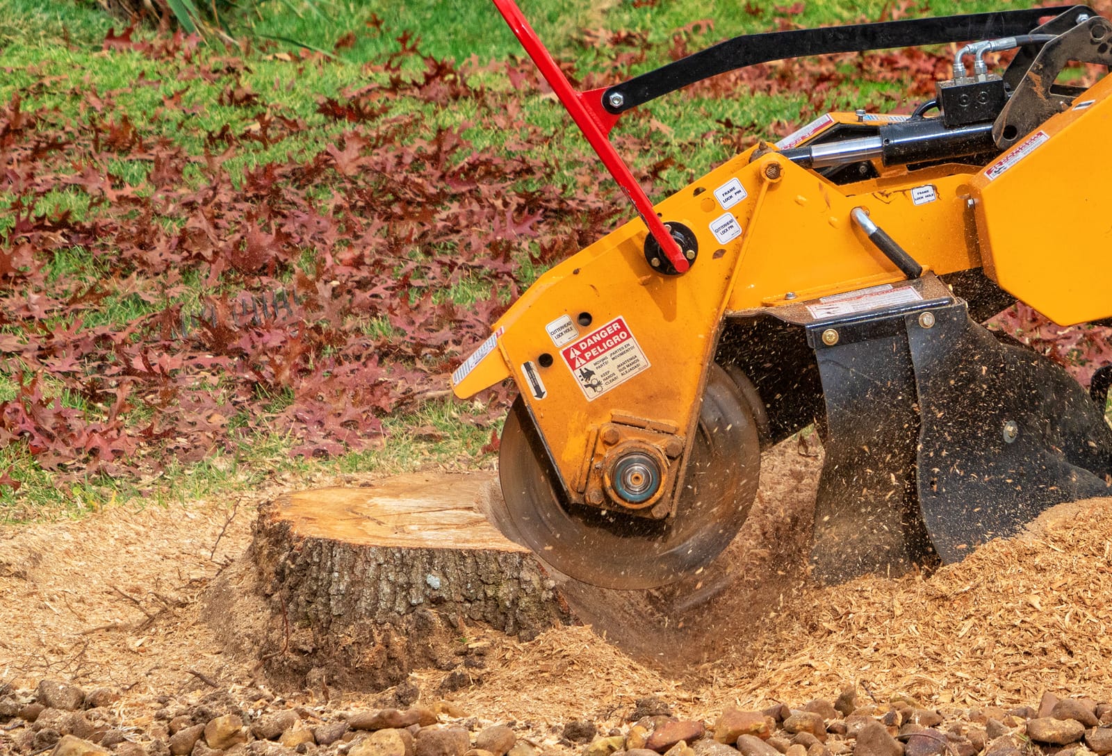 Stump Grinding in Lacey WA